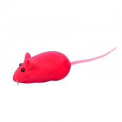 Where to buy petpawjoy Mouse toy for Cats
