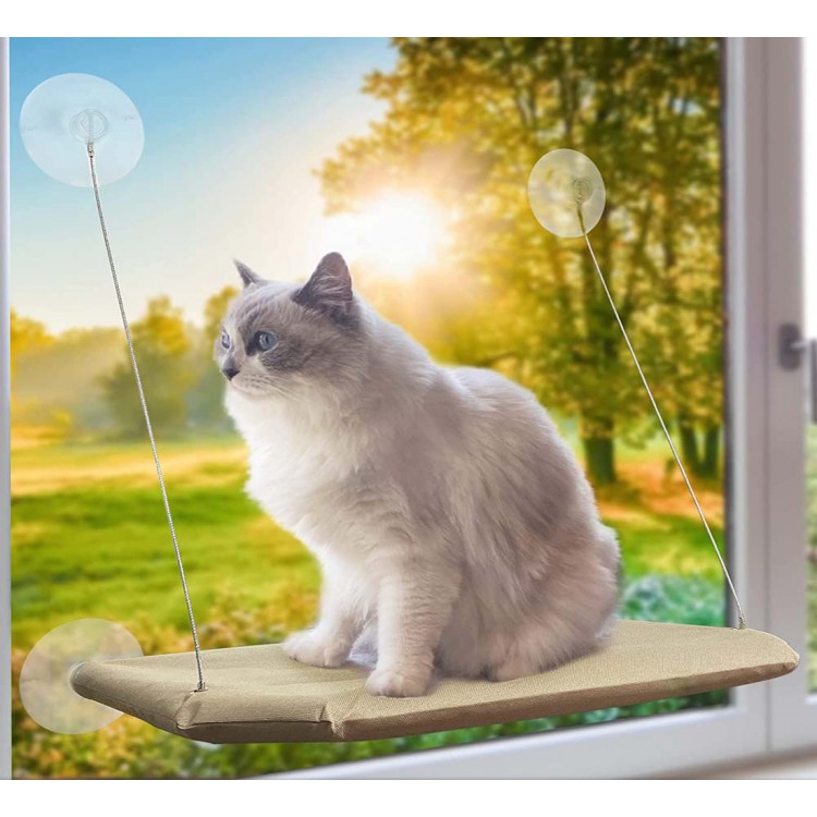petpawjoy cat window bed best gift for kittens