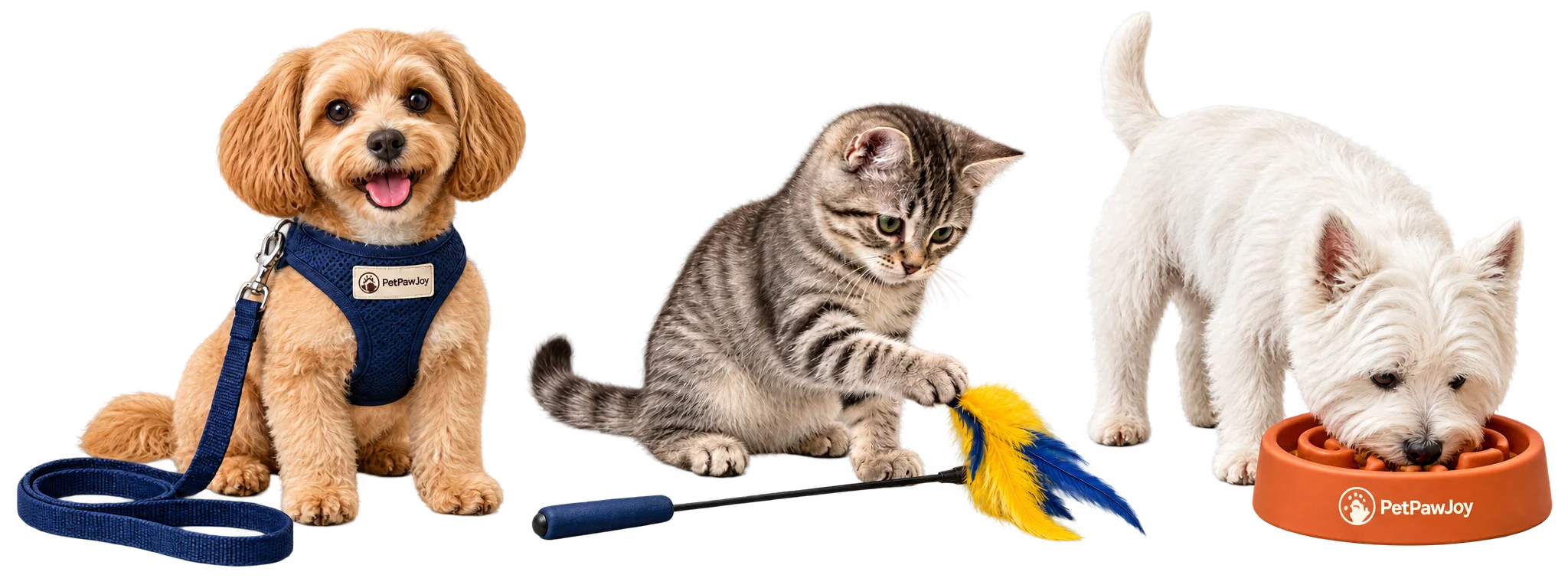 Dog wearing a navy harness, cat playing with a feather toy and dog using an orange feeding bowl