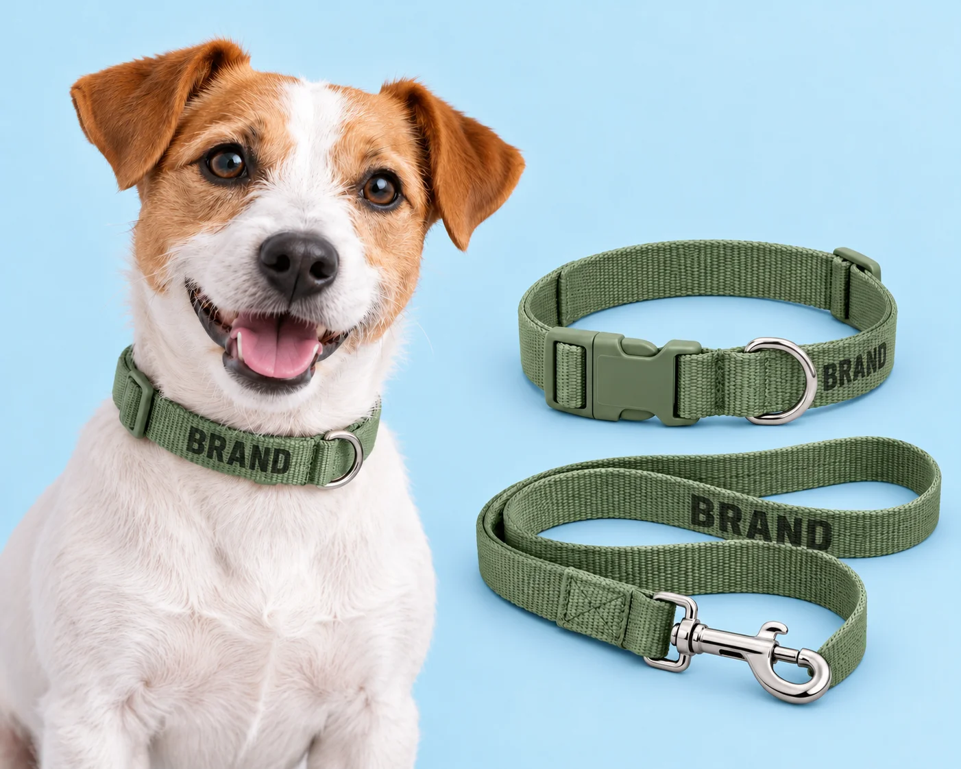 Green pet collar and leash beside a harness and waste-bag dispenser